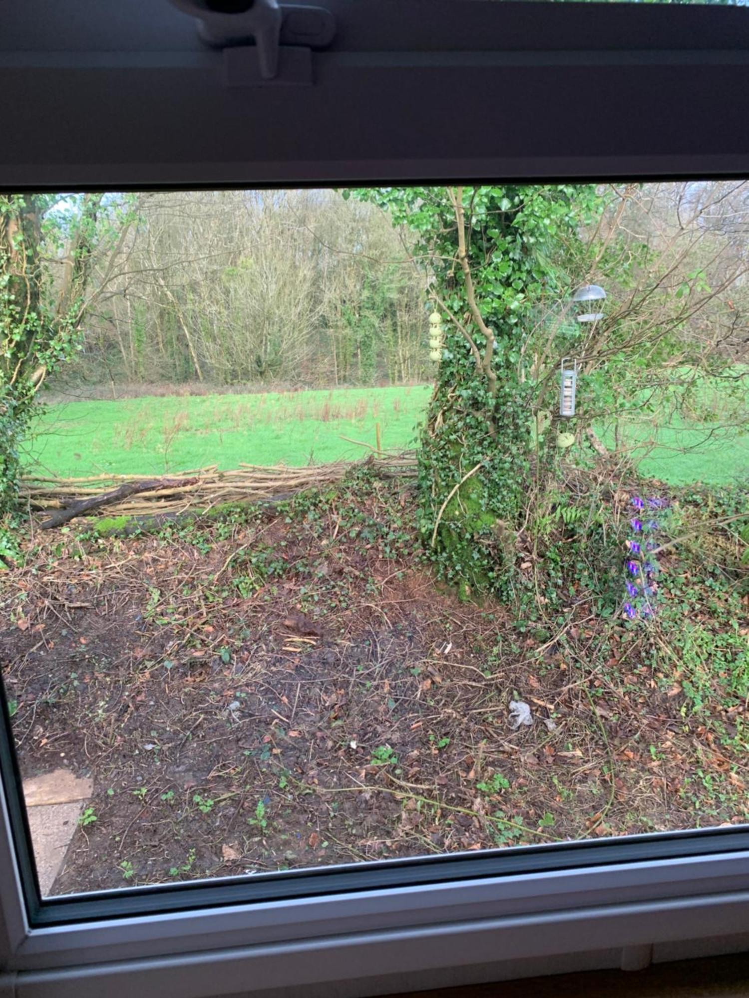 4 Devon Country, Bideford Bay Holiday Park Bucks Mills Exterior photo